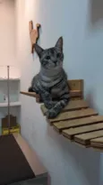 Baruel 