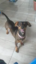 Lola