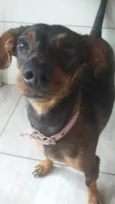 Lola