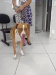 Bart