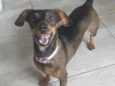 Lola