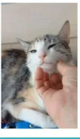 PENÉLOPE