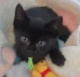 Juno 
