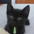 Juno