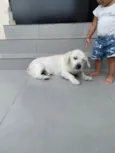 Marley
