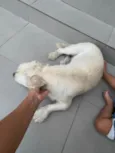 Marley