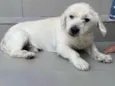 Marley
