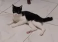 Joaquim 