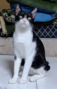 Joaquim 