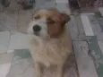 Tony