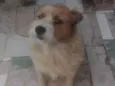 Tony