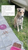 Chico
