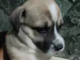 sem nome