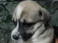 sem nome