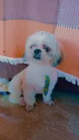 Ted