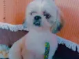 Ted