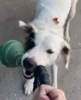 Luke