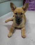 Vida