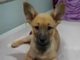 Vida