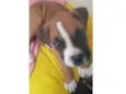Tyson