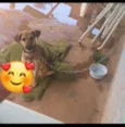 Bituca 