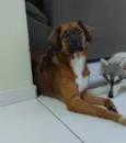 Alan 