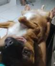 Alan 