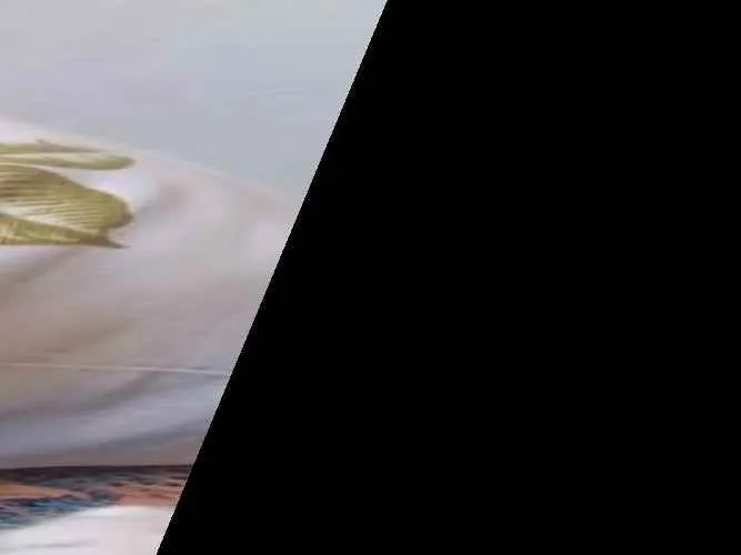 Gato raça vira lata idade 2 anos nome Lua e três gatinhos