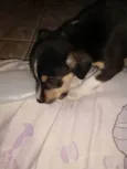 Não tem
