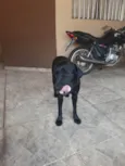 Kiara