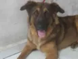 Spike