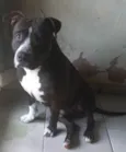 Klaus