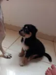Não tem nome