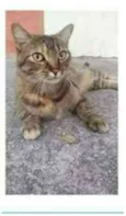 JULLY