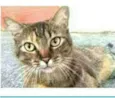 JULLY