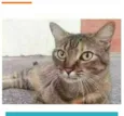 JULLY