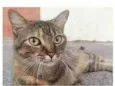 JULLY