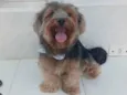 Fergus