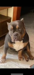 Saliva 