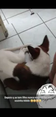 Coby