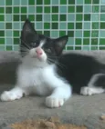 ATHOS