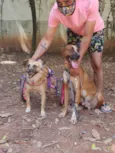 Scooby