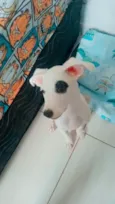 Maya