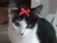Mika 