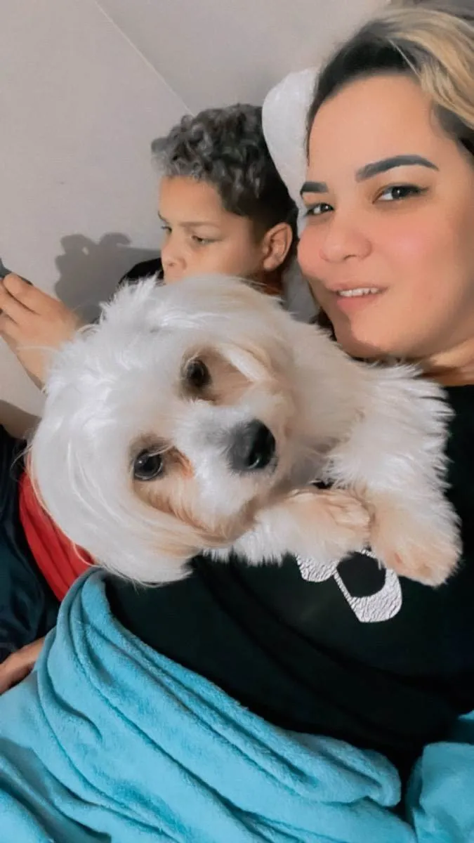 Cachorro ra a Shih-tzu  idade 1 ano nome Kiara