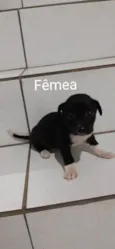Não tem 
