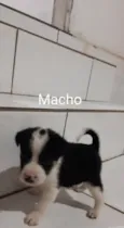 Não tem 