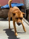 Spike 