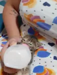 Mel