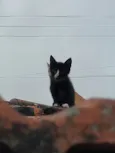 -------